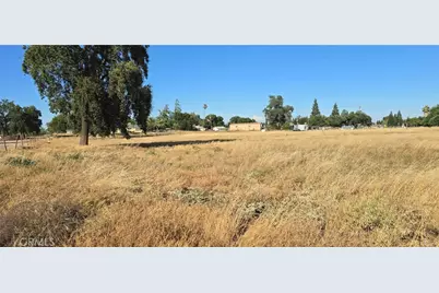 10050 Cressey Street, Cressey, CA 95312 - Photo 8