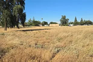 10050 Cressey St, Cressey, CA 95312 - Photo 8