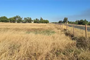10050 Cressey St, Cressey, CA 95312 - Photo 6