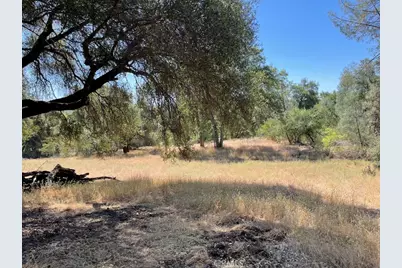 3877 Lopa Road, Mariposa, CA 95338 - Photo 36