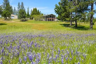3137 Triangle, Mariposa, CA 95338 - Photo 30