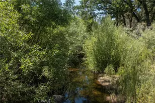3981 Snow Creek Rd, Mariposa, CA 95338 - Photo 8