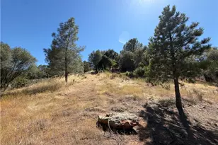 5540 Gold Creek, Mariposa, CA 95338 - Photo 12