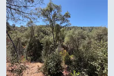 5540 Gold Creek, Mariposa, CA 95338 - Photo 14