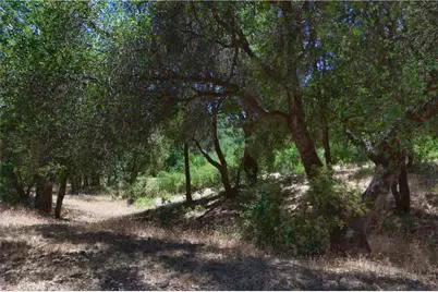 4965 Moss Creek Lane, Mariposa, CA 95338 - Photo 48