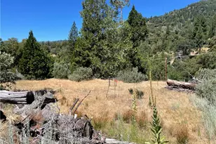 6122 Chowchilla Mountain, Mariposa, CA 95338 - Photo 44