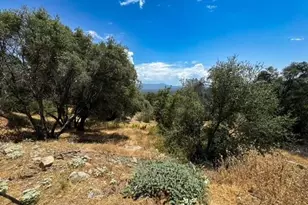 4856 Indian Peak, Mariposa, CA 95338 - Photo 12