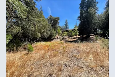 5601 Red Ibis Court, Mariposa, CA 95338 - Photo 38