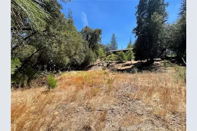 5601 Red Ibis Court, Mariposa, CA 95338 - Photo 38