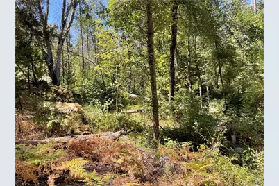 5601 Red Ibis Court, Mariposa, CA 95338 - Photo 48