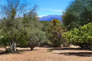 1956 Wild Horse, Mariposa, CA 95338 - Photo 62