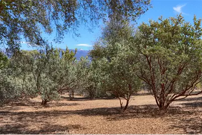 1956 Wild Horse, Mariposa, CA 95338 - Photo 62