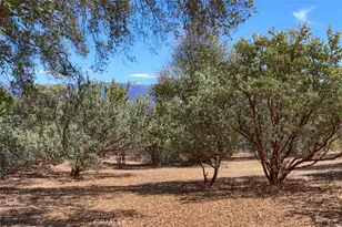 1956 Wild Horse, Mariposa, CA 95338 - Photo 62