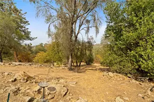 4853 Daffodil Dr, Mariposa, CA 95338 - Photo 36