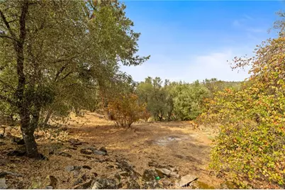 4853 Daffodil Drive, Mariposa, CA 95338 - Photo 38