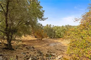 4853 Daffodil Dr, Mariposa, CA 95338 - Photo 38