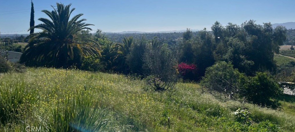 1002 S Ridge Dr, Fallbrook, CA 92028