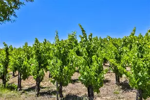 39520 Colleen Way, Temecula, CA 92592 - Photo 74