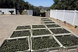 2125 Puerto Del Mundo, Fallbrook, CA 92028 - Photo 52