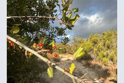 36825 Highway 79, Warner Springs, CA 92086 - Photo 6