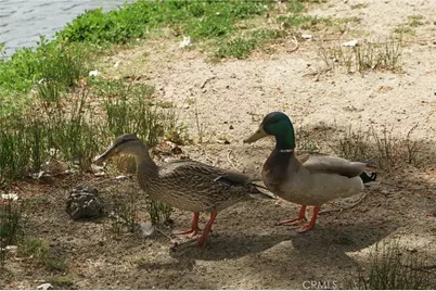 35109 Highway 79 #254, Warner Springs, CA 92086 - Photo 38