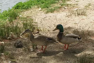 35109 Hwy 79, Warner Springs, CA 92086 - Photo 38