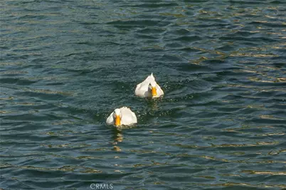 35109 Highway 79 #254, Warner Springs, CA 92086 - Photo 36