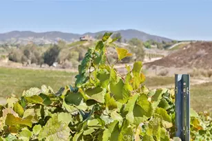 40970 Anza Rd, Temecula, CA 92592 - Photo 10