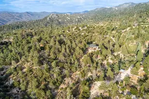 161 N Trails End, Green Valley Lake, CA 92314 - Photo 68