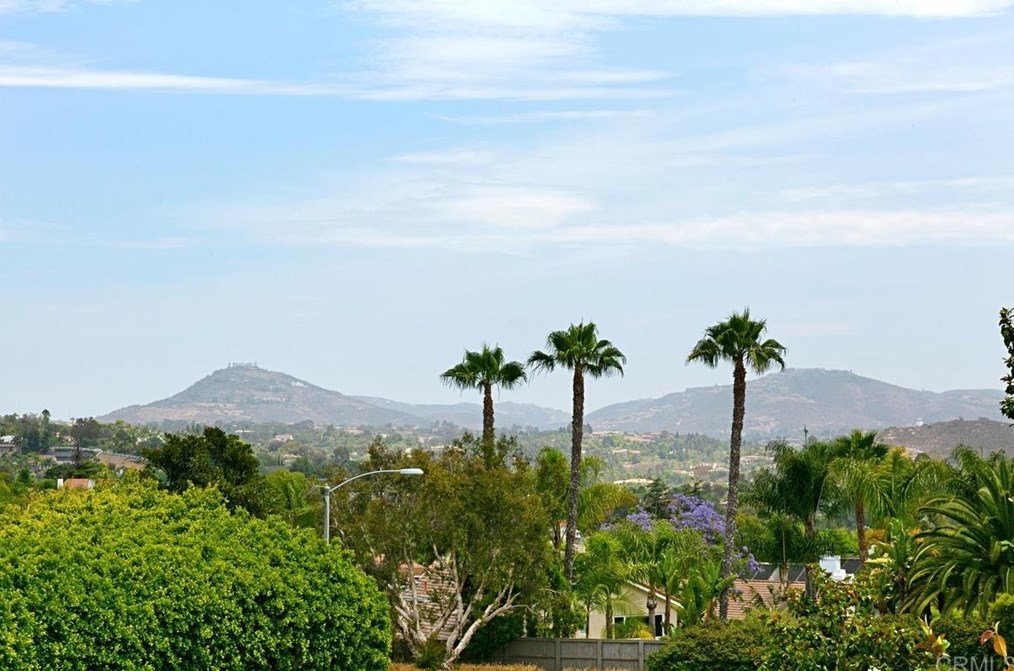 925 Summer Holly Ln, Encinitas, CA 92024