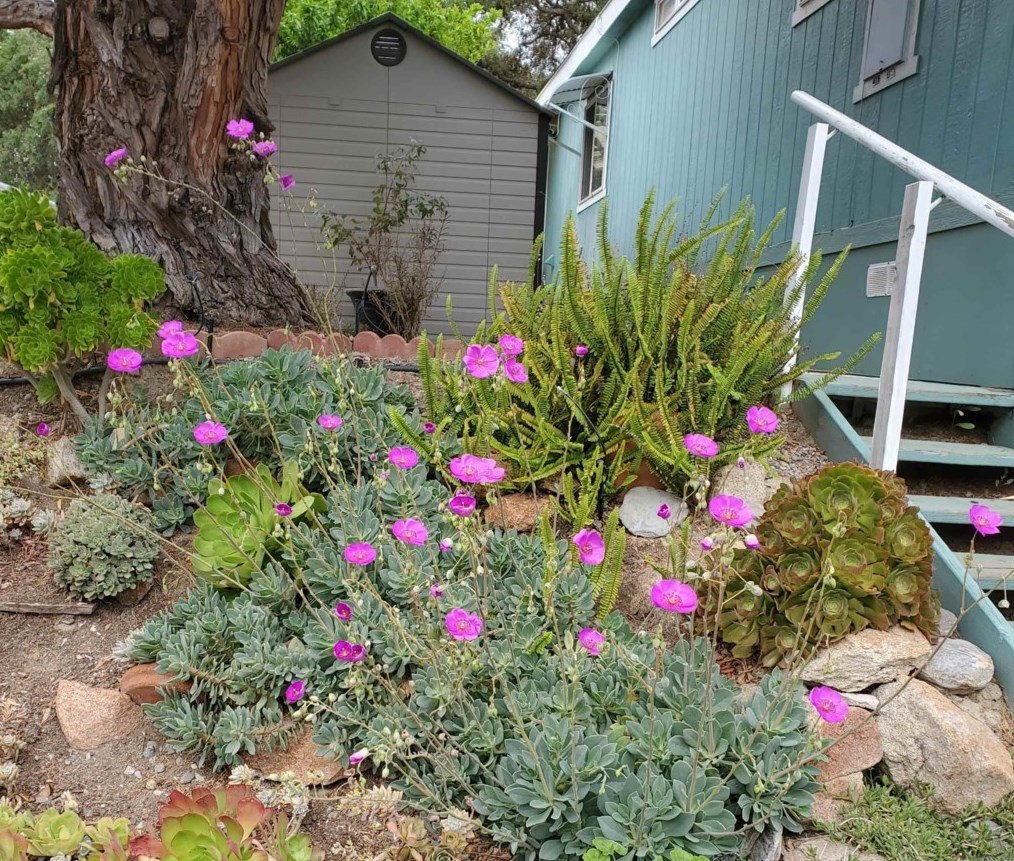 4747 Oak Crest Rd #49, Fallbrook, CA 92028
