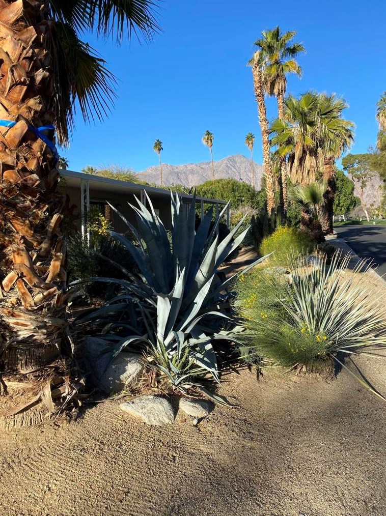 1010 Palm Canyon Dr #137, Borrego Springs, CA 92004