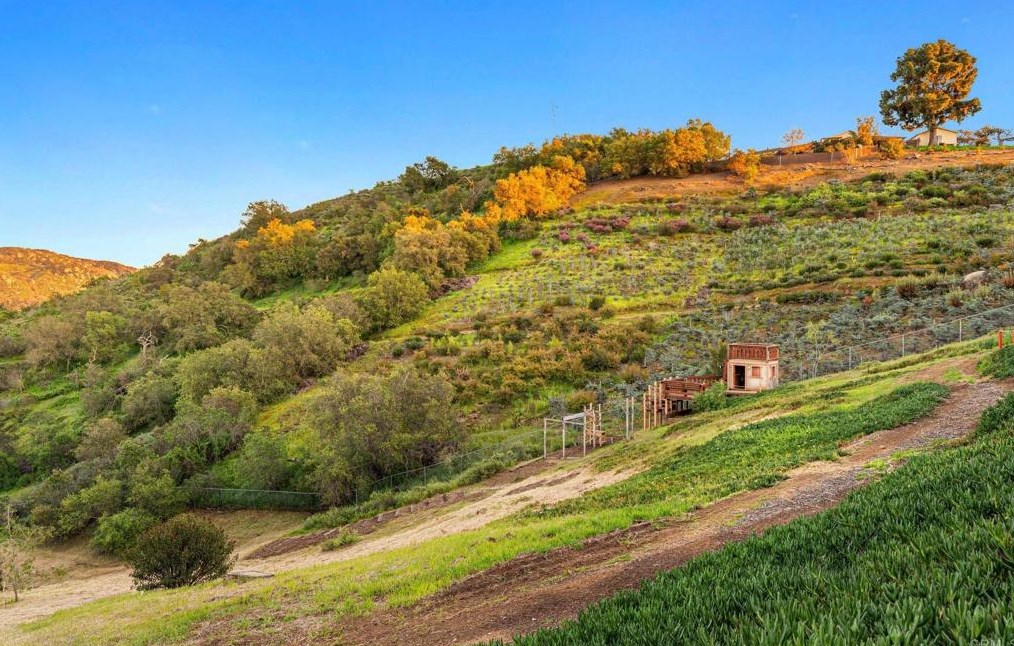 2974 Sumac Rd, Fallbrook CA  92028-8704 exterior