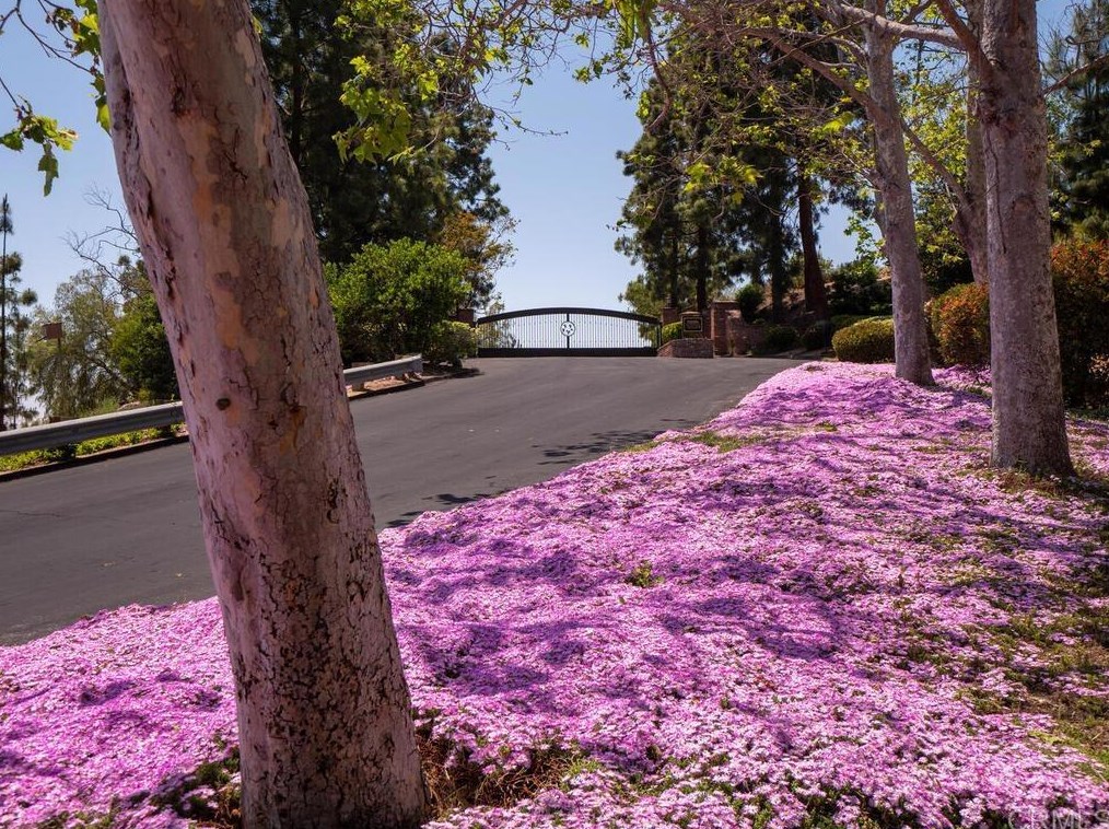 3026 Via Loma, Fallbrook, CA 92028