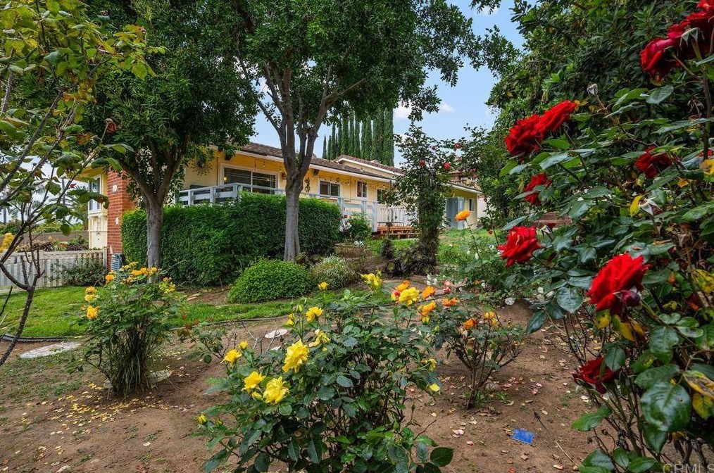 2908 Oak Hill Dr, Escondido CA  92027-5101 exterior