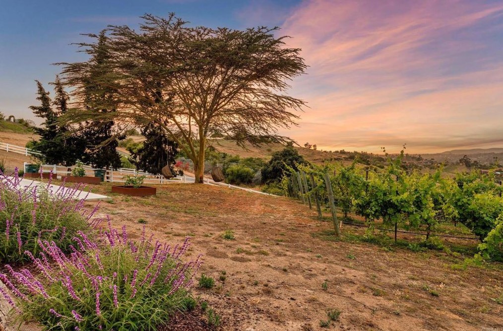 2559 Vista De Palomar, Fallbrook CA  92028-9712 exterior