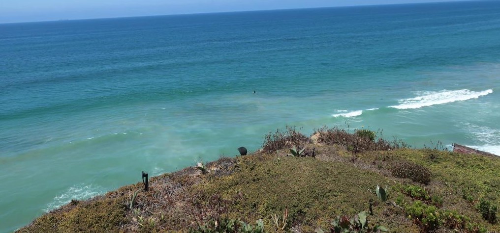 224 Neptune, Encinitas, CA 92024