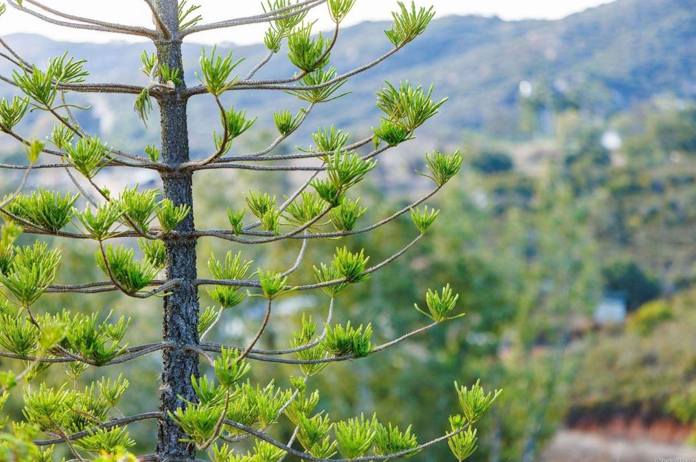 17550 Bear Valley Ln, Escondido CA  92027-6014 exterior