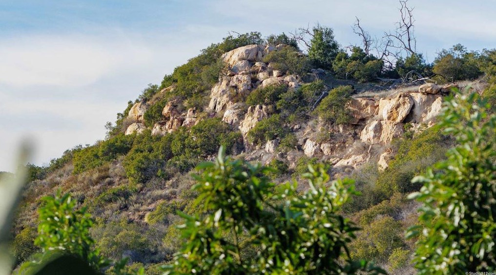 17550 Bear Valley Ln, Escondido CA  92027-6014 exterior