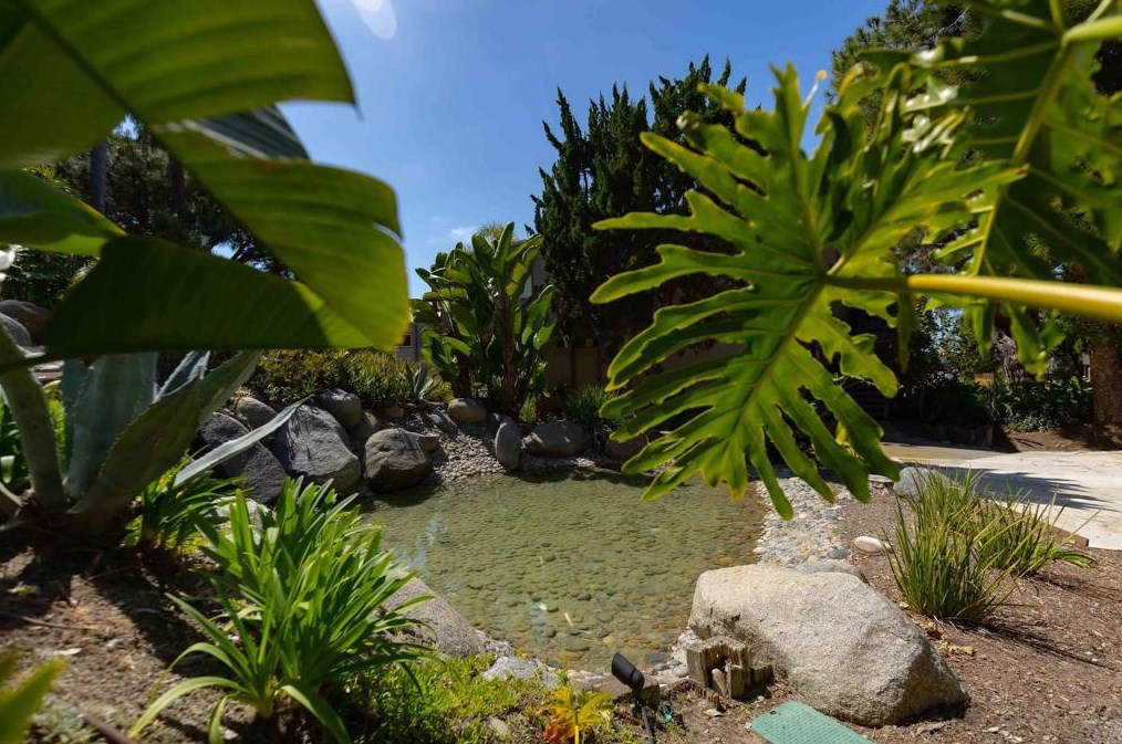 155 Rosebay Dr, Encinitas CA  92024-3333 exterior