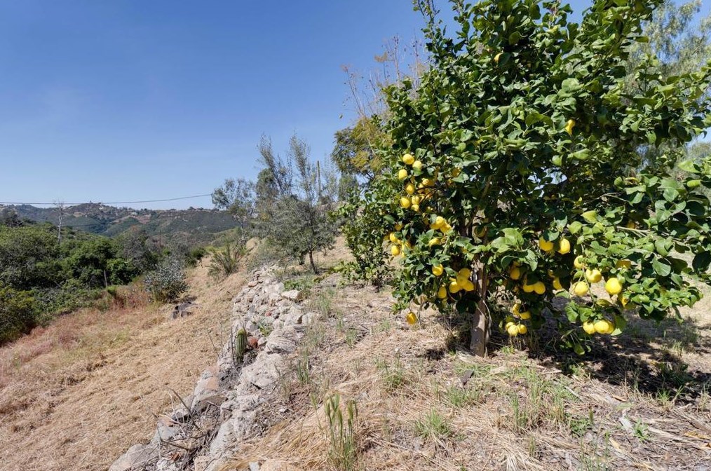 40337 Gavilan Mountain Rd, Fallbrook CA 92028-8965 exterior