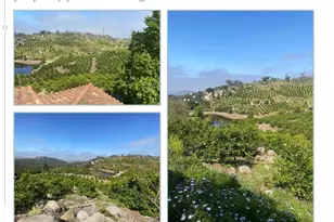 1444 Windsong Ln, Escondido, CA 92026 - Photo 8