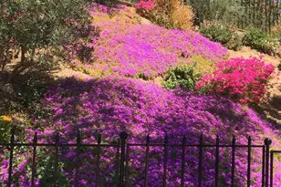 14106 Summit Crest, Escondido, CA 92025 - Photo 72