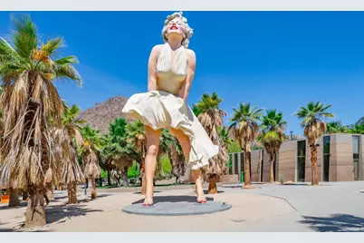 800 E Cottonwood Road #2, Palm Springs, CA 92262 - Photo 44