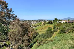 7358 Gribble St, San Diego, CA 92114 - Photo 34