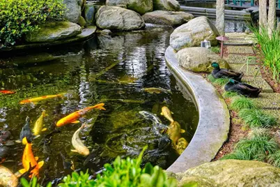 567 Gage Lane, San Diego, CA 92106 - Photo 6