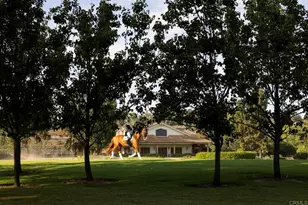 16401 Calle Feliz, Rancho Santa Fe, CA 92067 - Photo 20