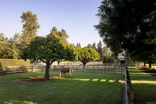 16401 Calle Feliz, Rancho Santa Fe, CA 92067 - Photo 26