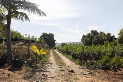 3129 Reche Road, Fallbrook, CA 92028 - Photo 32