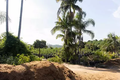 3129 Reche Road, Fallbrook, CA 92028 - Photo 30